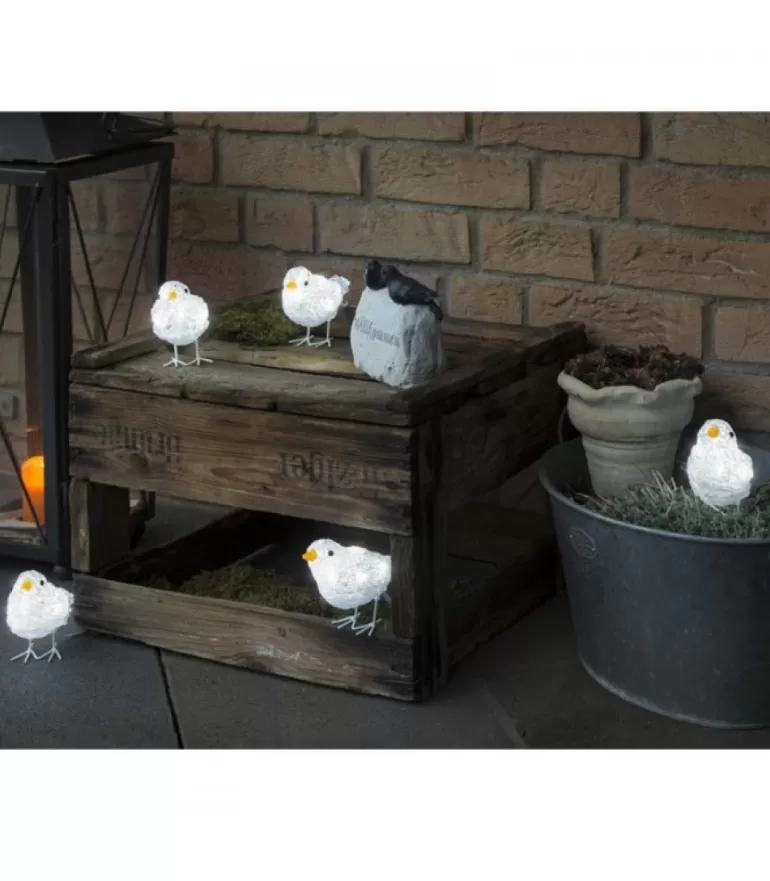 Clearance 5 Oiseaux Lumineux A Led Oiseaux Lumineux Et Animaux Lumineux