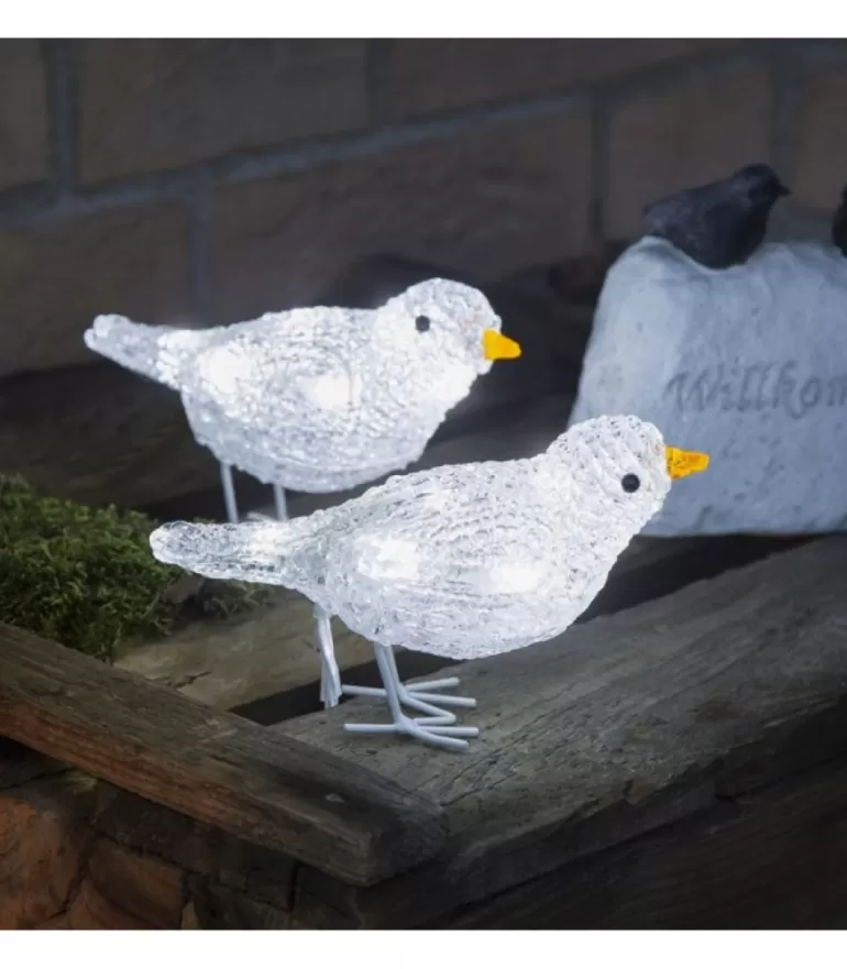 Clearance 5 Oiseaux Lumineux A Led Oiseaux Lumineux Et Animaux Lumineux