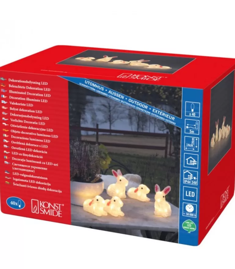 Best Lapins Lumineux 14 Cm En Acrylique, 40 Diodes Blanc Chaud Oiseaux Lumineux Et Animaux Lumineux