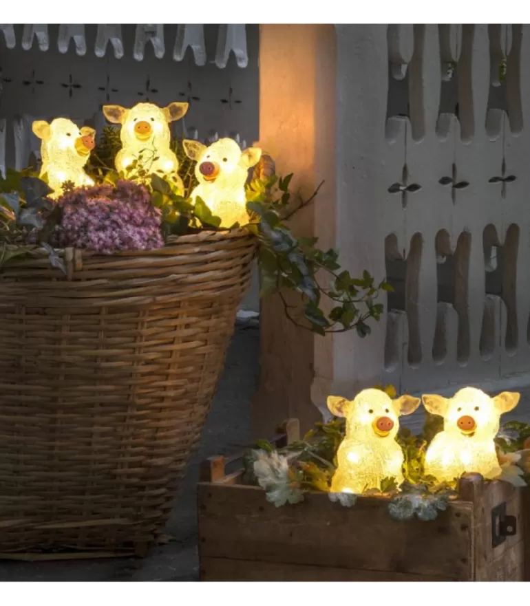 Fashion Petits Cochons Lumineux En Acrylique Led 12,5 Cm, Lot De 5 Oiseaux Lumineux Et Animaux Lumineux
